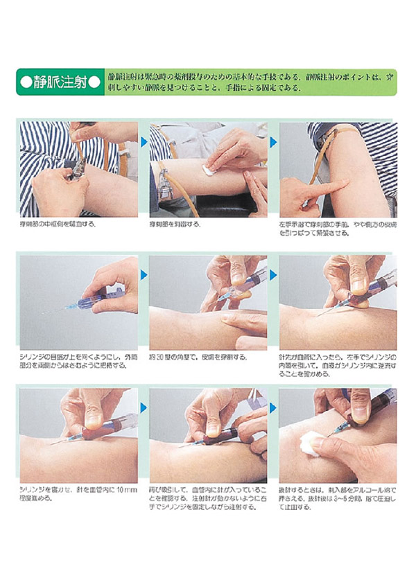 見本1